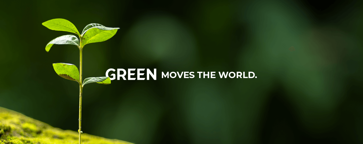 Banner Green
